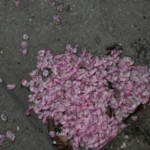 一边摸下面一边吃奶快点好难受
