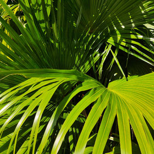 一边摸下面一边吃奶快点好难受
